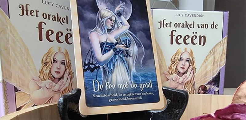Boodschappenkaart 22-7-25 De fee met de graal