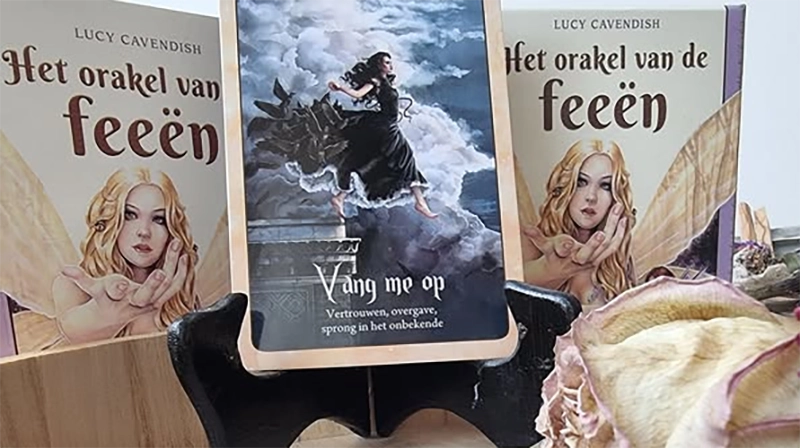 Boodschappenkaart 6-8-25 Vang me op