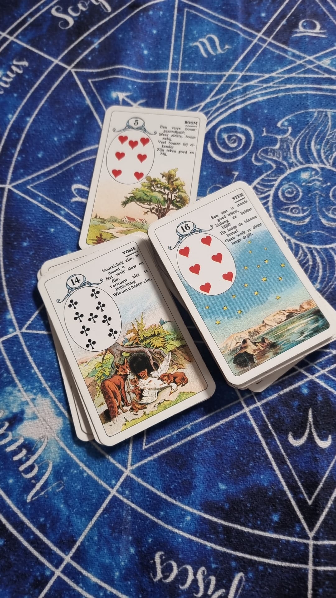 Inzichtsessie – schriftelijk consult