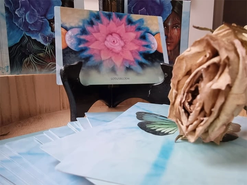 Boodschappenkaart 23-8-25 Lotusbloem