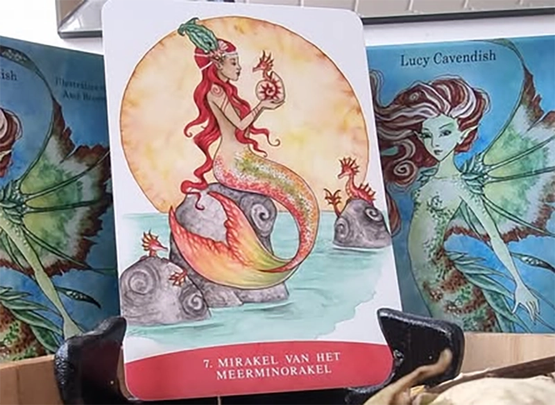 Boodschappenkaart 30-9-25 MIRAKEL VAN HET MEERMINORAKEL