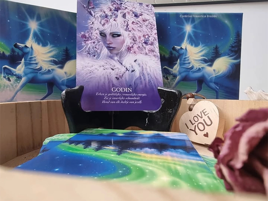 Boodschappenkaart 23-10-25 Godin