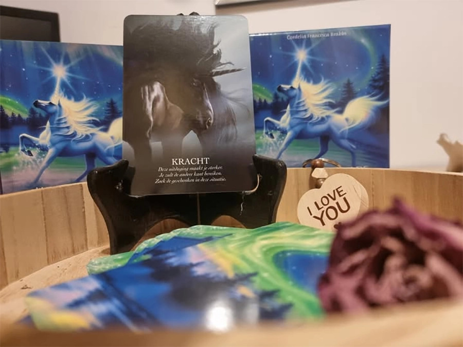 Boodschappenkaart 24-10-25 Kracht