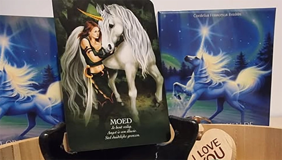 Boodschappenkaart 29-10-25 Moed