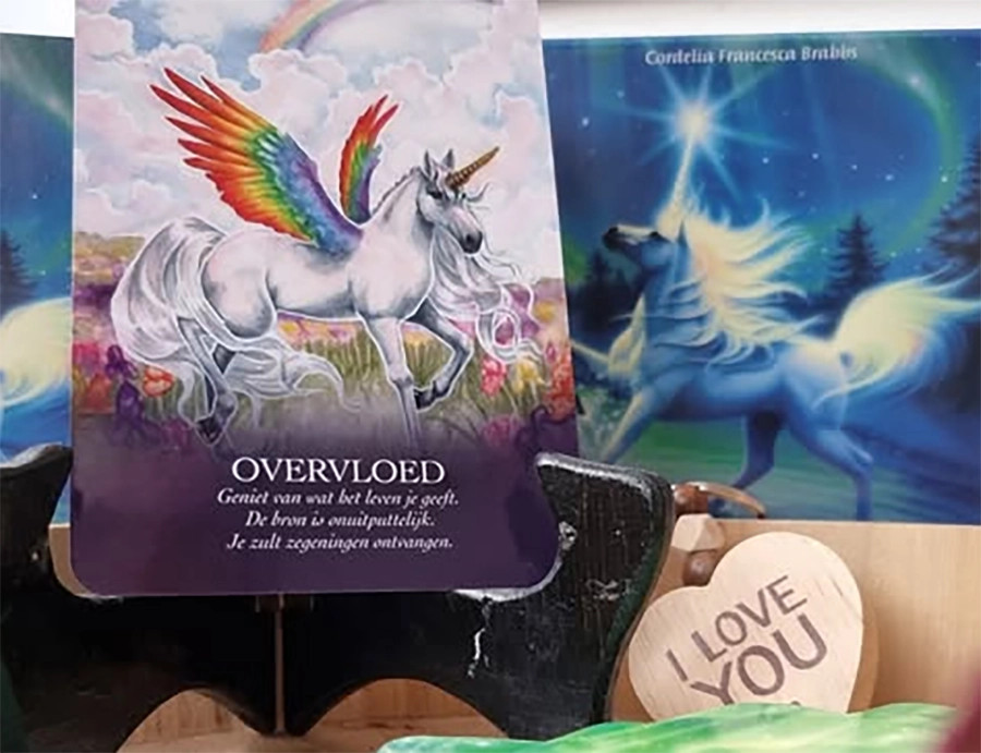 Boodschappenkaart 3-11-25 Overvloed