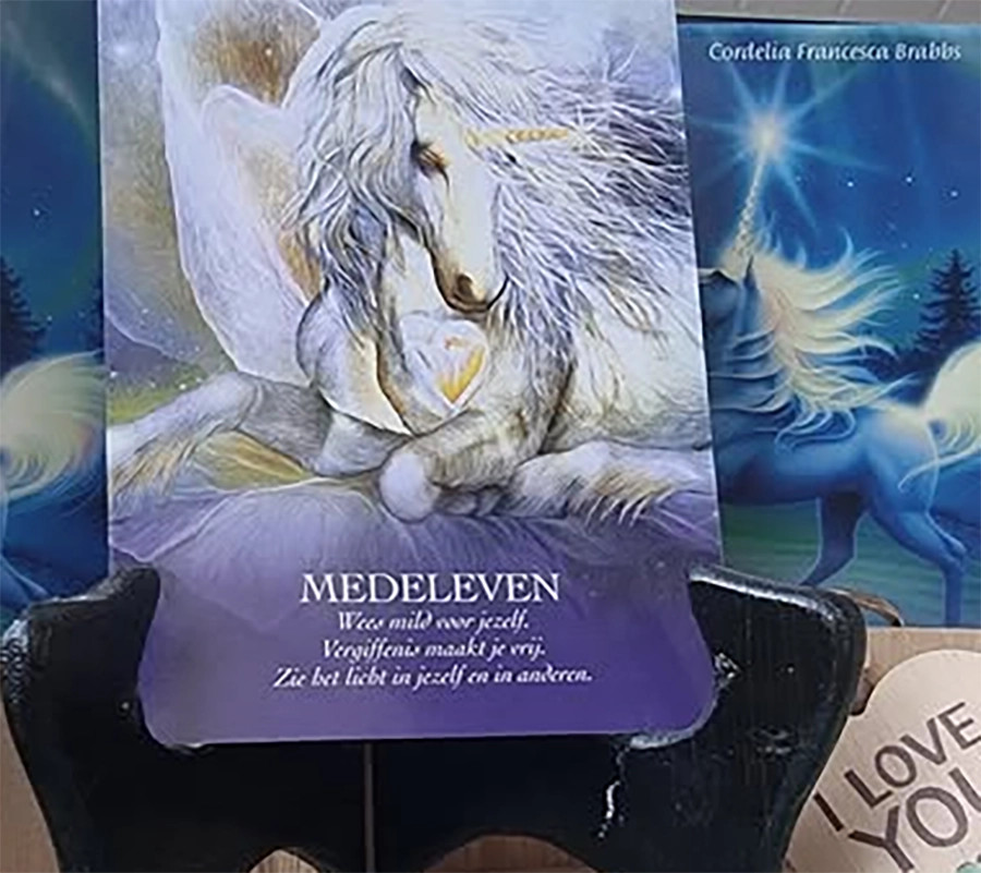 Boodschappenkaart 7-11-25 Medeleven