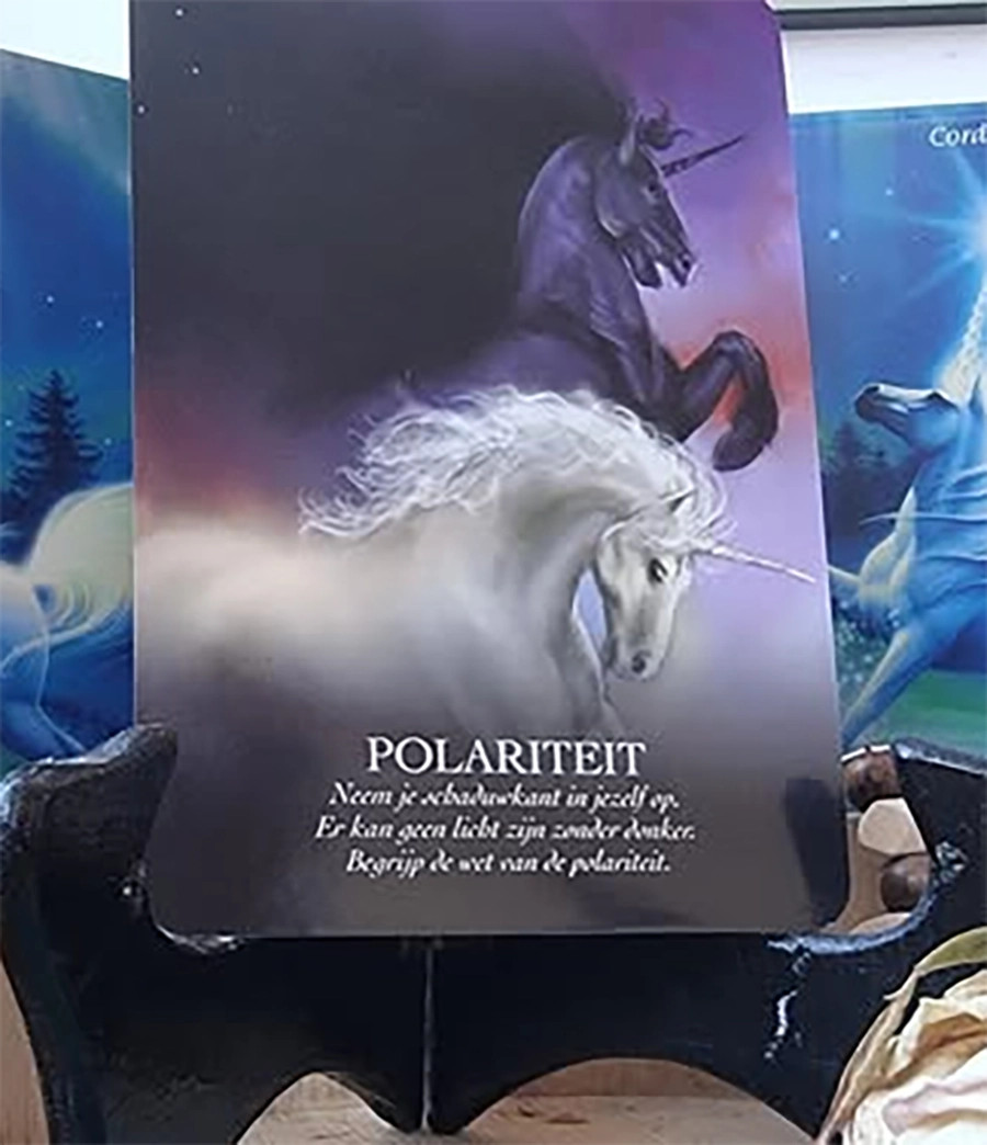 Boodschappenkaart 8-11-25 Polariteit