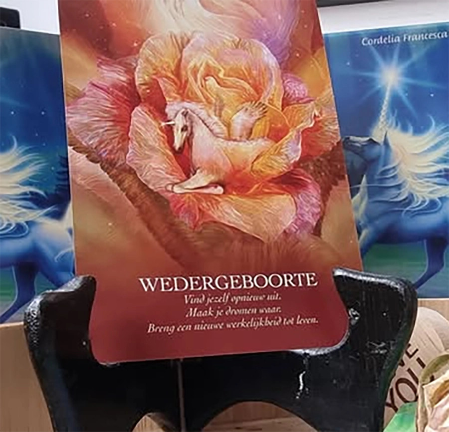 Boodschappenkaart 11-11-25 Wedergeboorte