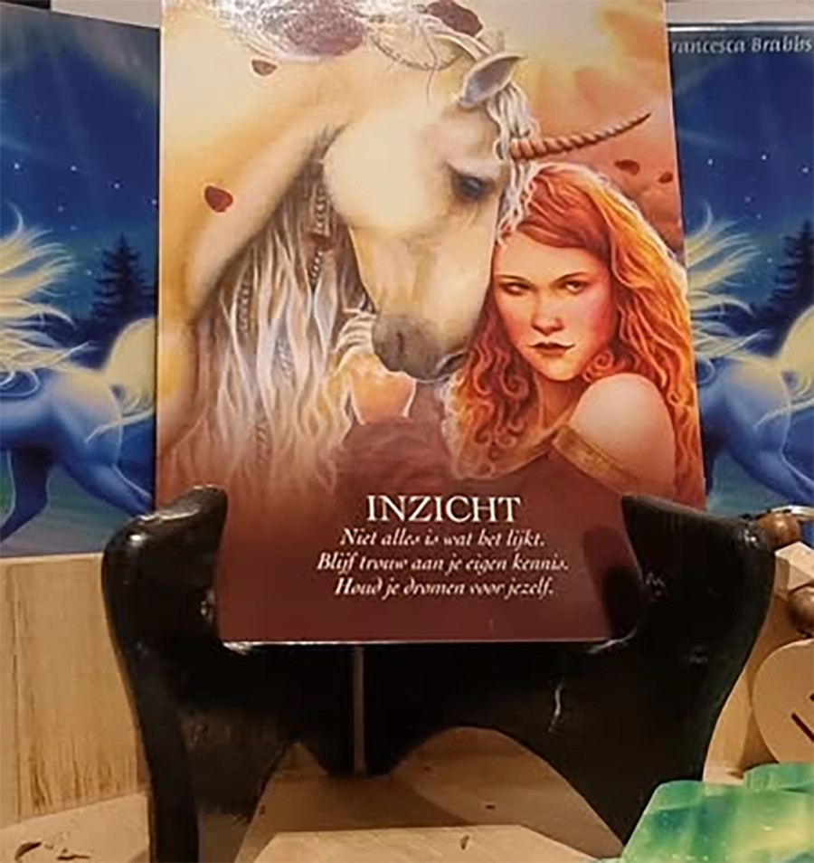 Boodschappenkaart 15-11-25 inzicht