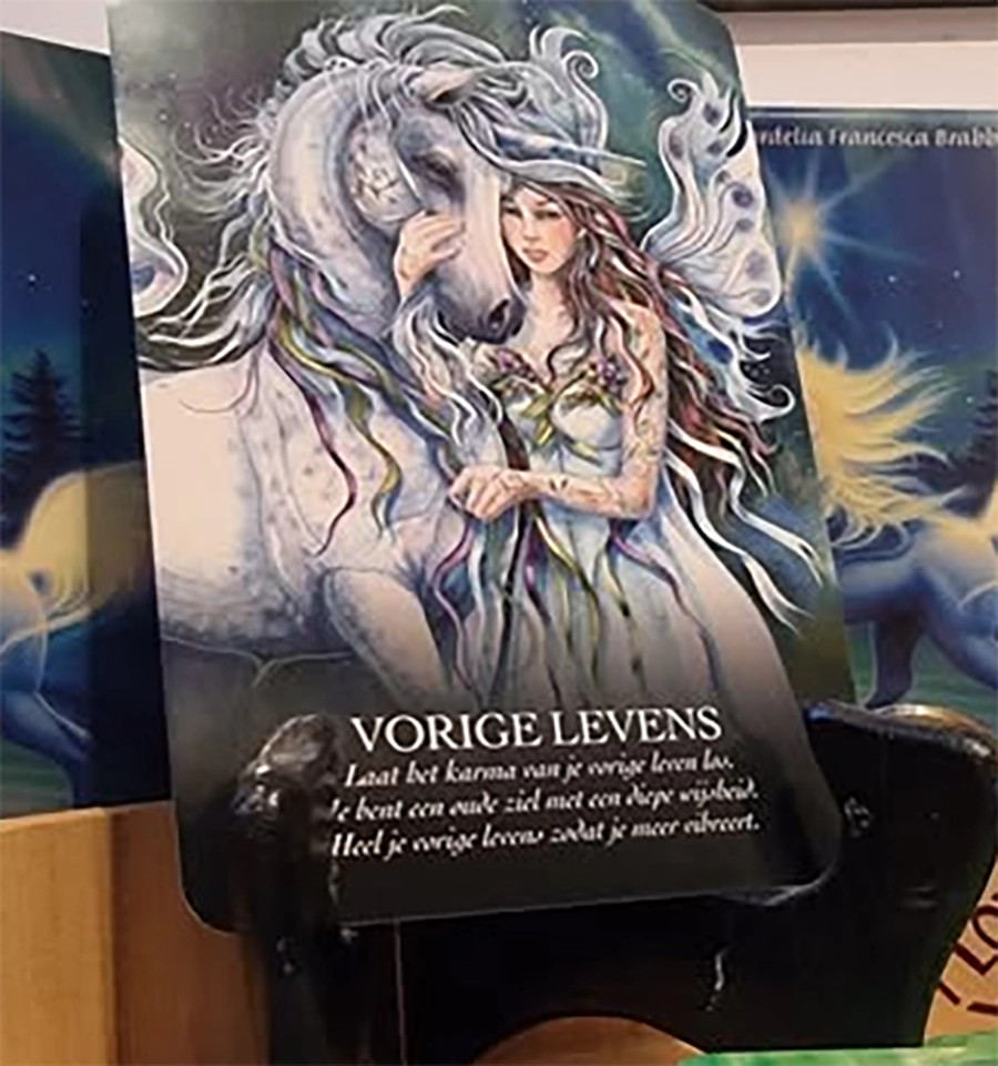 Boodschappenkaart 17-11-25 Vorige levens