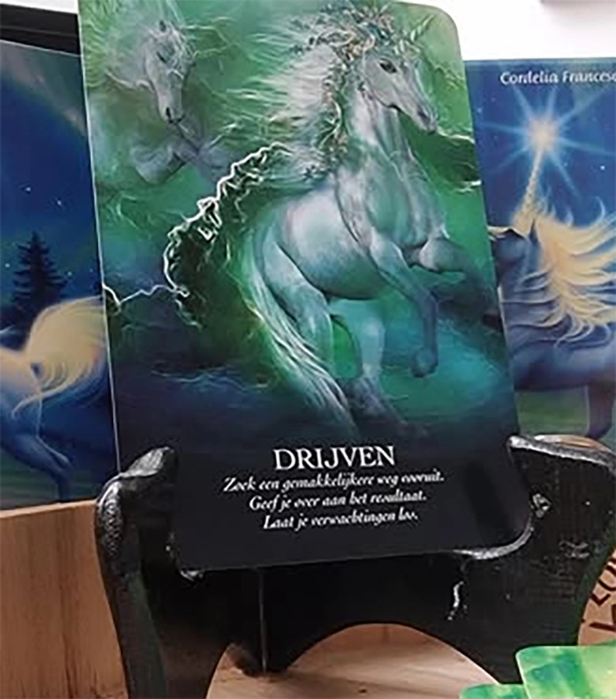 Boodschappenkaart 19-11-25 Drijven