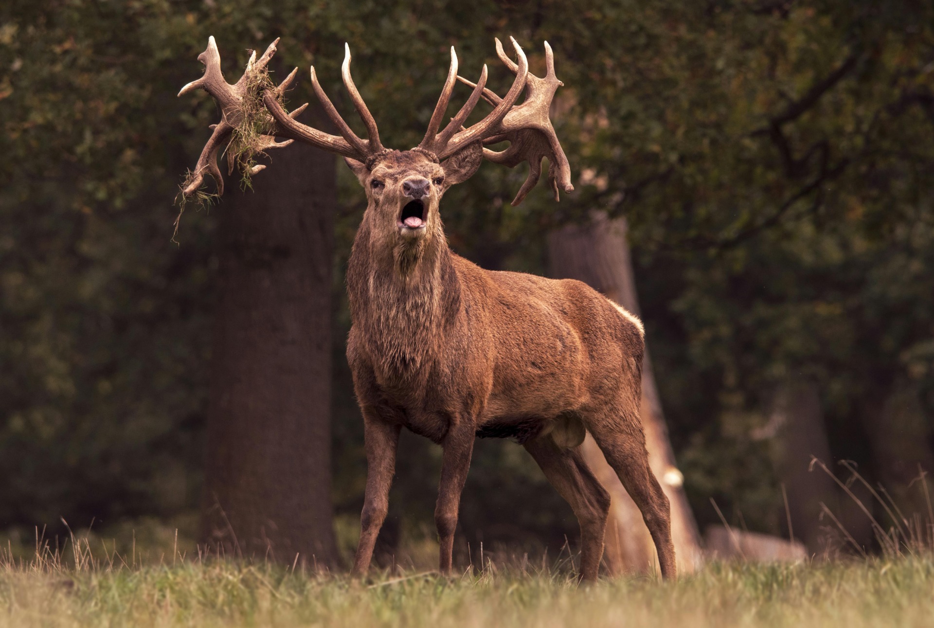 Een teken van spirituele bescherming