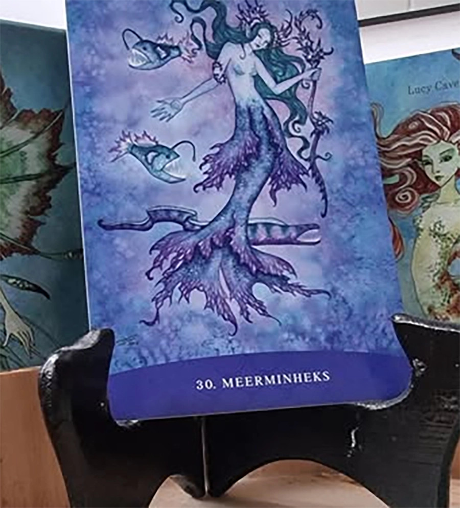 Boodschappenkaart 5-12-25 Meerminnenheks