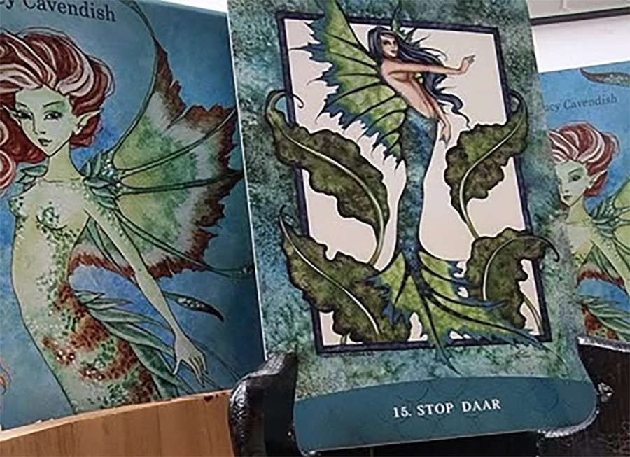 Boodschappenkaart 6-12-25 Stop daar