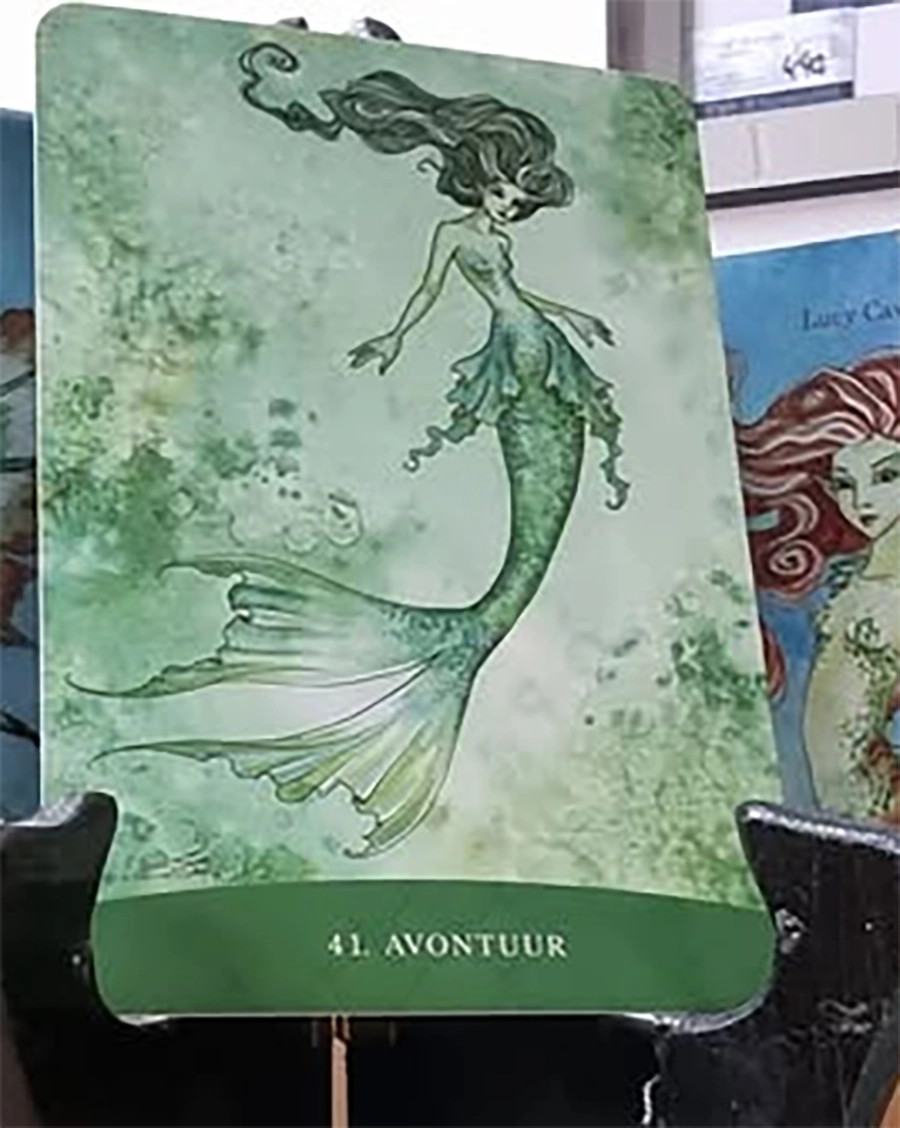 Avontuur Boodschappenkaart 8-12-25