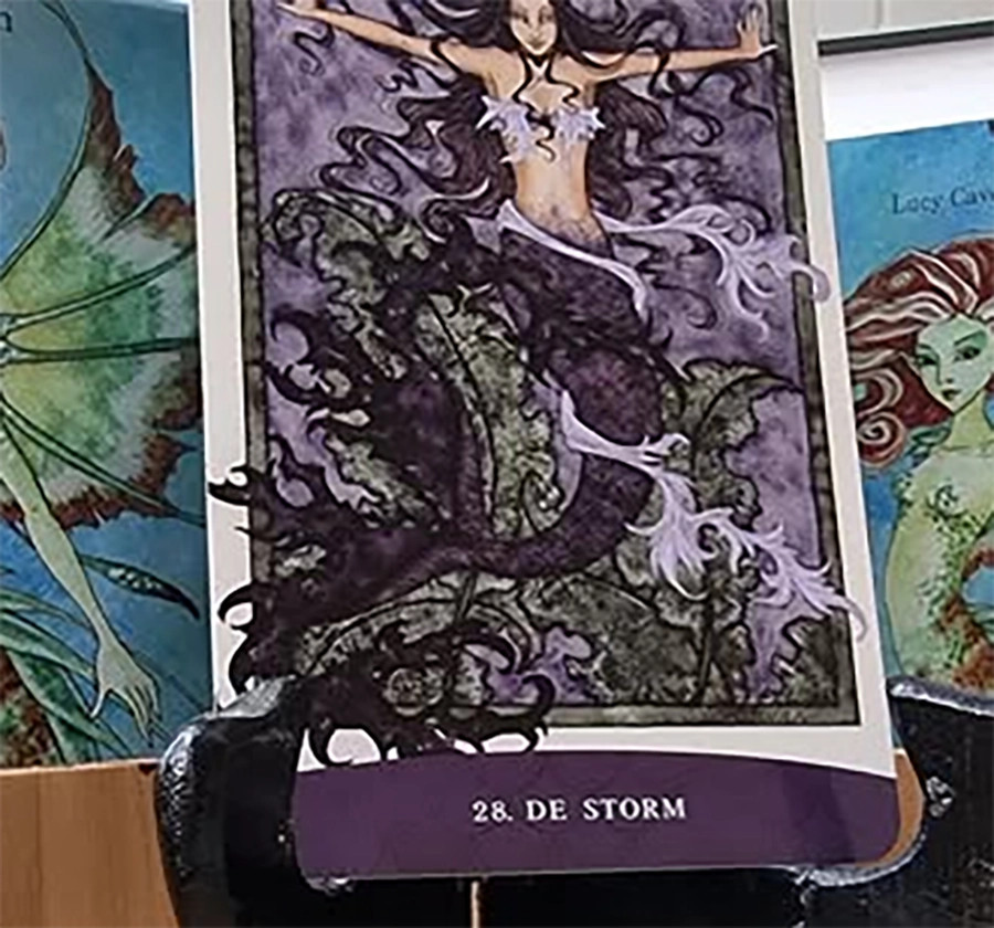 De Storm Boodschappenkaart 9-12-25