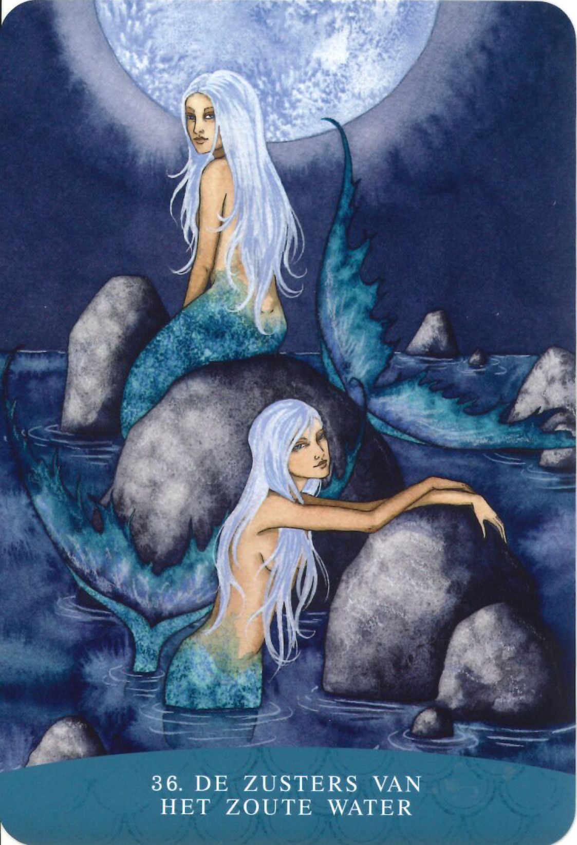 De zusters van het zoute water Boodschappenkaart 11-12-25